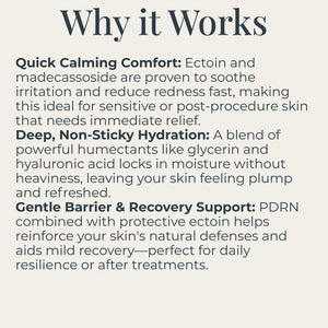 Calm Your Skin - EX-C RE N Calm Ampoule